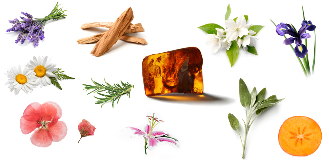 The Fragrances of SEVEN®