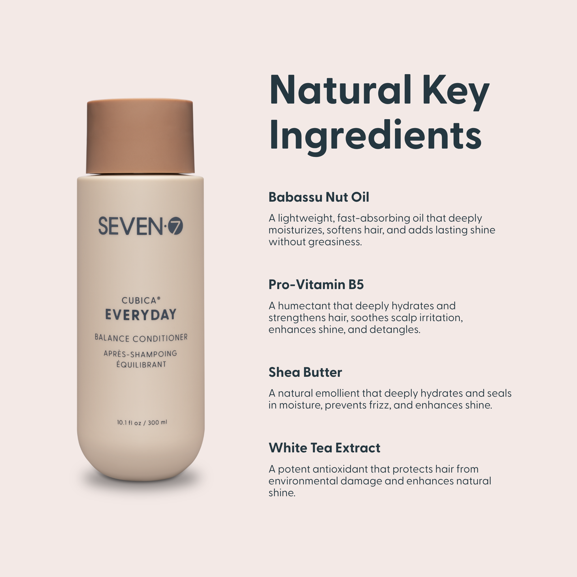 EVERYDAY Balance Conditioner