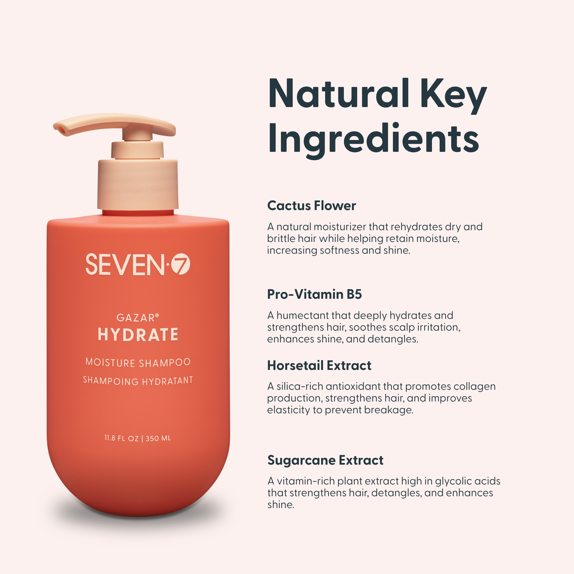 HYDRATE Moisture Shampoo